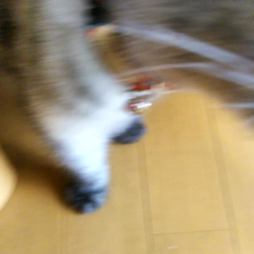 ちょっと、テレビの真似しちゃいましたの画像