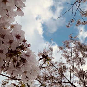 散歩の画像
