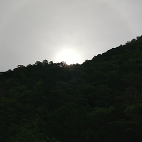 太陽のチカラの画像