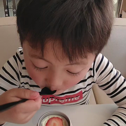 ⭐️いちご狩り⭐️の記事動画