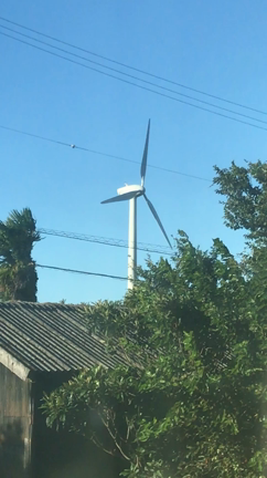 強風下、発電停止の小型風車の記事動画