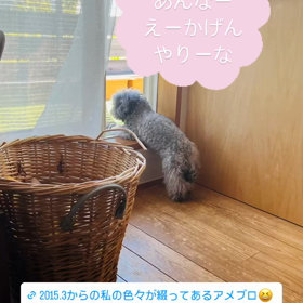 久々のアメブロ！の画像