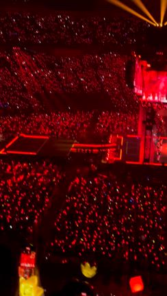 【BIGBANG】MAMA2024に行ってきました②の記事動画