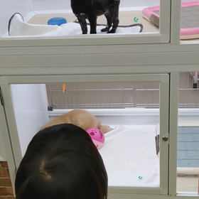 今日は８月２３日『処暑』の画像