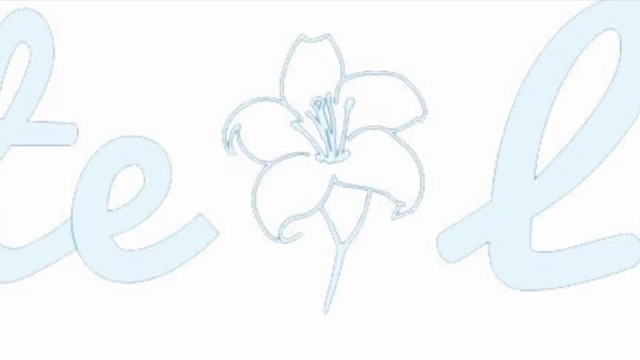 清楚系アイドルグループWhite Lillyに加入しました！の記事動画