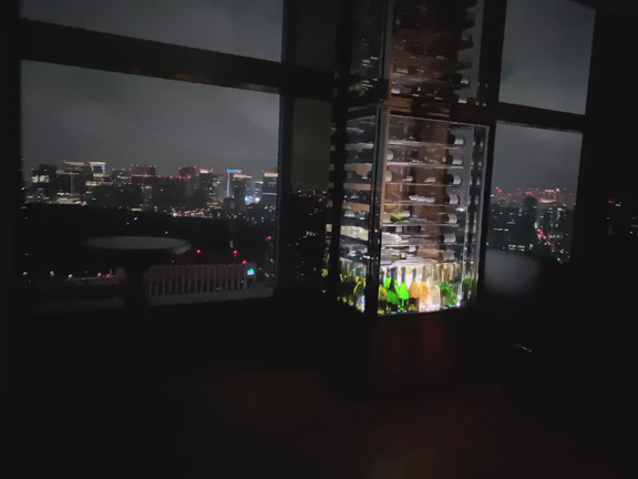 東京の夜景が一望できる高級ディナー！！の記事動画