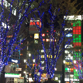 イルミネーション☆☆☆の画像