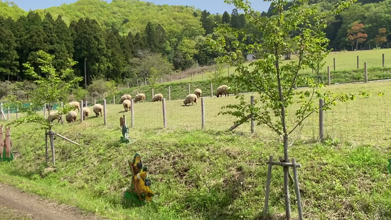 暑かった…の記事動画