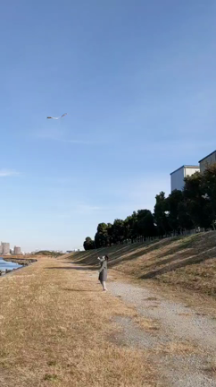 お正月に凧揚げの記事動画