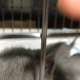 おやすみ前の画像