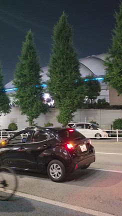 嵐@東京ドーム最終日の記事動画
