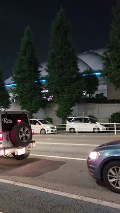 嵐@東京ドーム最終日の記事動画