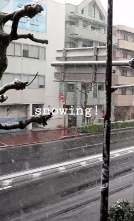 こんな季節に雪？の記事動画