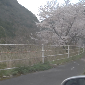 雑音。の画像