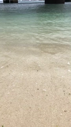 みんなの石、リリースの記事動画
