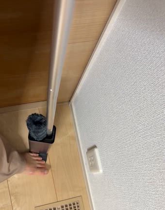 【PR】気になるカーペットの髪の毛にも！ケースに入れるだけで綺麗になる不思議なモップがお得ですの記事動画