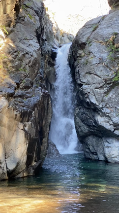 龍神様が現れました！幸せを運んでくれる動画、画像です。の記事動画