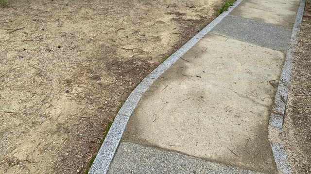 これ見ると一生お金に困らないと言われていますの記事動画