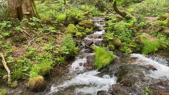 浄化されちゃう動画をどうぞ。の記事動画