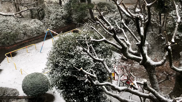 想いと身体のこりコリはがしの記事動画