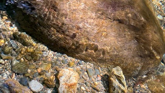 天地創造の記事動画