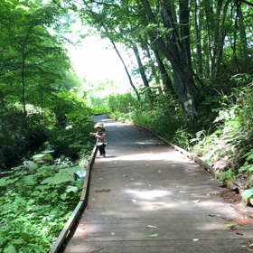 言葉の相談に行きました。の画像
