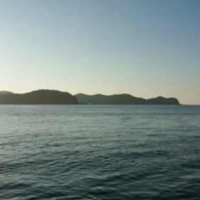 久しぶりです。の画像