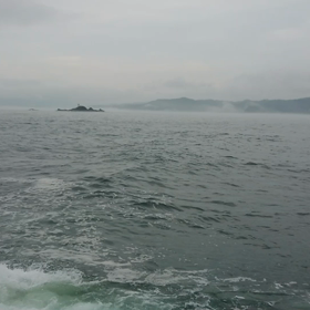 初釣り。の画像