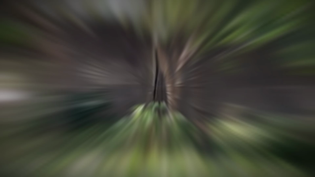 命を燃やして咲き誇る花は、その散り際もまた力強く、美しい。の記事動画