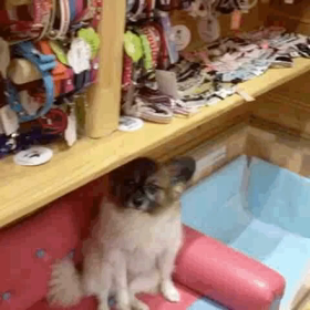 月に一度の嫌な所の画像