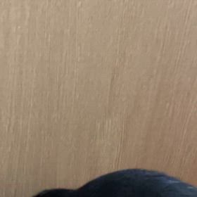 子供達の成長記録189の画像