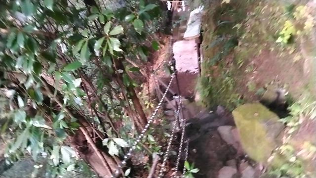 天岩戸神社東本宮の記事動画