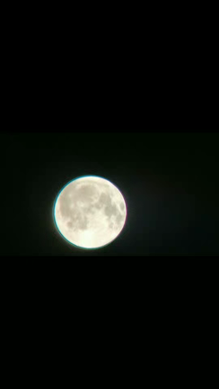 カフェめぐりと私のゴールデンウィークの記事動画