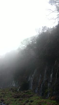 白糸の滝とご当地グルメの記事動画