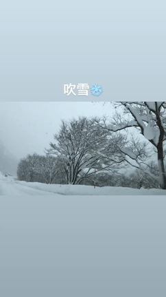 やっぱり行かなきゃ損⁉️の記事動画