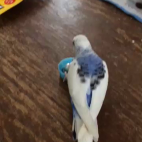 おはようございます…の画像