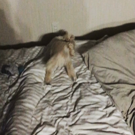 やられたぁ(ToT)の画像