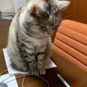 今年もよろしくお願いします❤️の画像