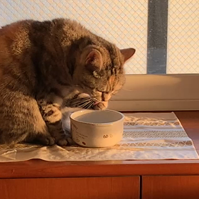 手を洗いましょうの画像