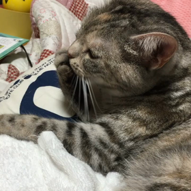 台風報道に思うことの画像