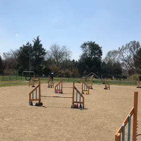 4/18(木)の画像