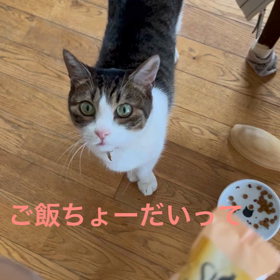 台風の日にの画像