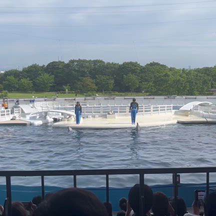 京都水族館の記事動画