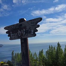2025/8/16　【鳥ちゃんと一緒♬】北海道の旅～8日目②の画像