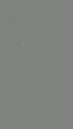 お散歩の記事動画