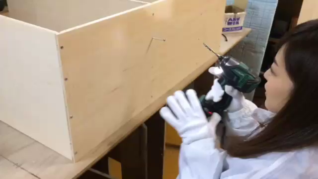 棚を作りましたの記事動画