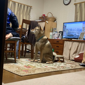 今年1年ありがとうございましたの画像