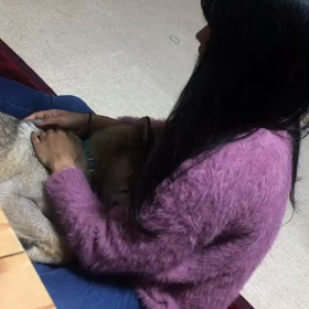 忙しくしてましたんで、動画でごまかします。の画像