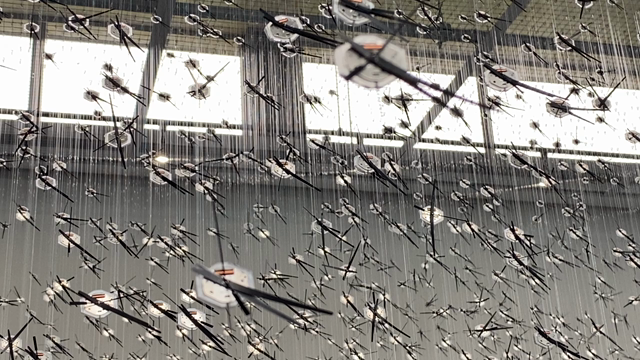 越後妻有 大地の芸術祭 2022行ってきました！の記事動画