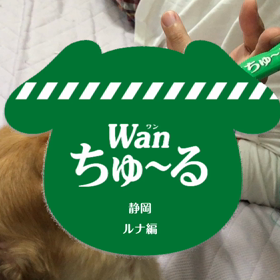 仕事にいく前にの画像